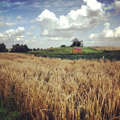 Countryside somewhere in Lithuania