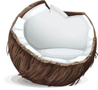 A cartoon illustration of half a coconut