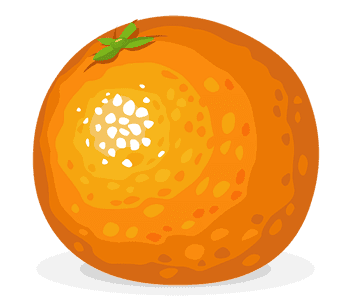 A cartoon illustration of a round orange